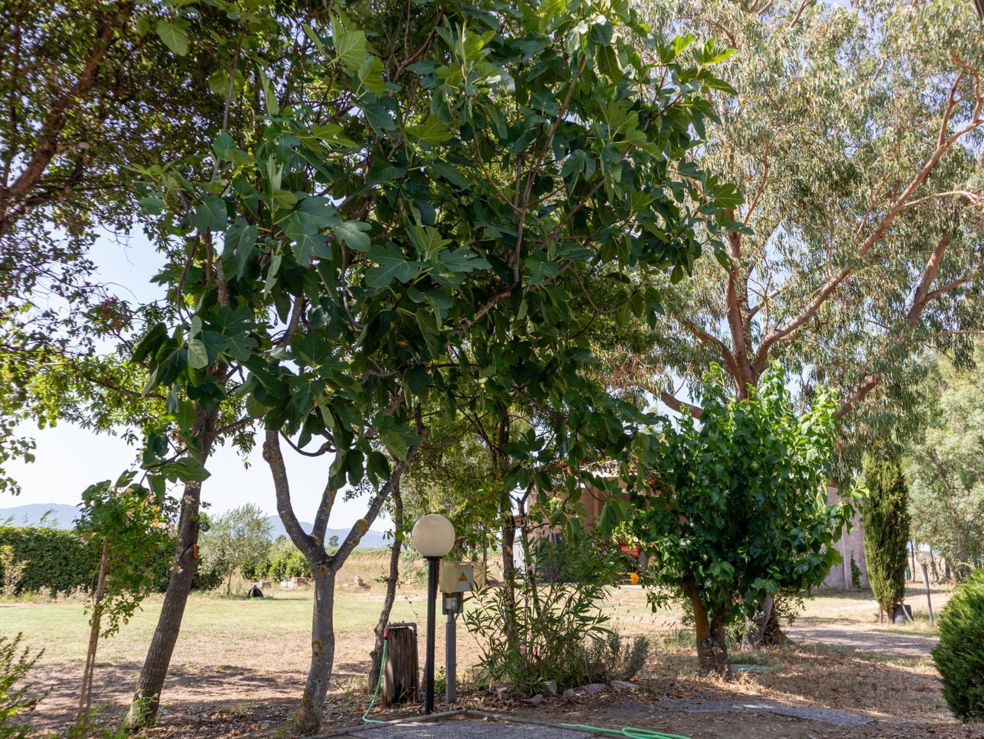 Agriturismo I Gelsi Marina Di Grosseto Exterior foto